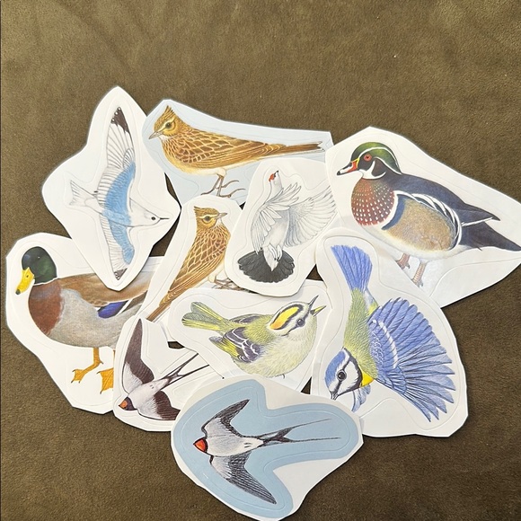 Colorful Bird Stickers Set - beautiful variety, multicolor - Picture 7 of 8